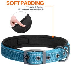 FIDA Neoprene Lined Dog Collar, Blue, Medium: 14.5 to 19-in neck, 1-in wide slide 2 of 5