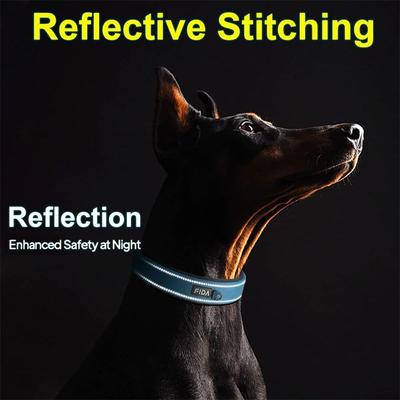 Show full view: FIDA Neoprene Lined Dog Collar, Blue, Medium: 14.5 to 19-in neck, 1-in wide slide 5 of 7