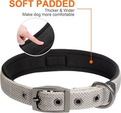 FIDA Neoprene Lined Dog Collar, Grey, Small: 11 to 14.5-in neck, 7/8-in wide slide 2 of 5