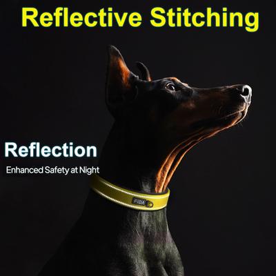 Show full view: FIDA Neoprene Lined Dog Collar, Yellow, X-Large: 24 to 28-in neck, 1.5-in wide slide 5 of 7