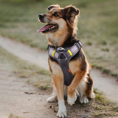 FIDA FIDA No Pull Dog Harness, Black, Small: 17.3 to 21.3-in chest