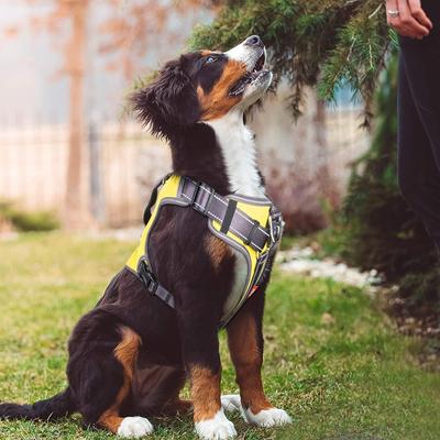 Show full view: FIDA No Pull Dog Harness, Yellow, Medium: 21.2 to 27.6-in chest slide 9 of 10