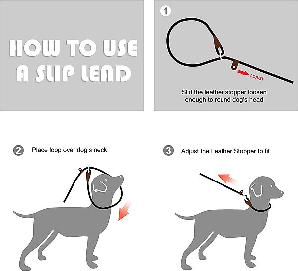 Show full view: FIDA Rope Slip Training Dog Leash, 6-ft long, 1/2-in wide, Black slide 5 of 7