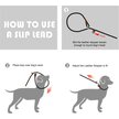 Show in main carousel: FIDA Rope Slip Training Dog Leash, 6-ft long, 1/2-in wide, Black slide 5 of 7
