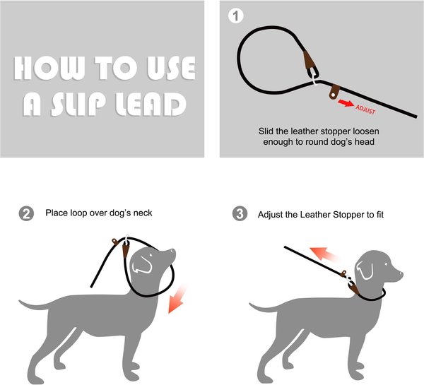Show full view: FIDA Rope Slip Training Dog Leash, 6-ft long, 1/2-in wide, Blue slide 4 of 7
