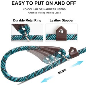 FIDA Rope Slip Training Dog Leash, 6-ft long, 1/2-in wide, Blue