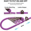 Show in main carousel: FIDA Rope Slip Training Dog Leash, 6-ft long, 1/2-in wide, Purple slide 3 of 7