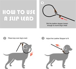 FIDA Rope Slip Training Dog Leash, 6-ft long, 1/2-in wide, Red slide 2 of 6