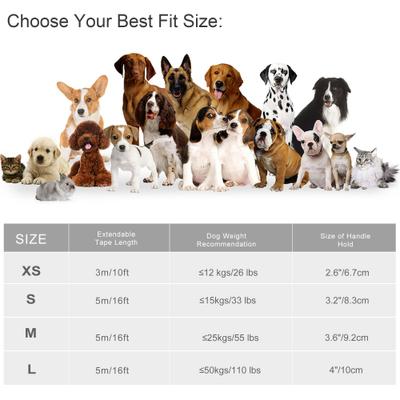 Show full view: FIDA Styleash Retractable Dog Leash, 10-ft long, Black, X-Small slide 6 of 6