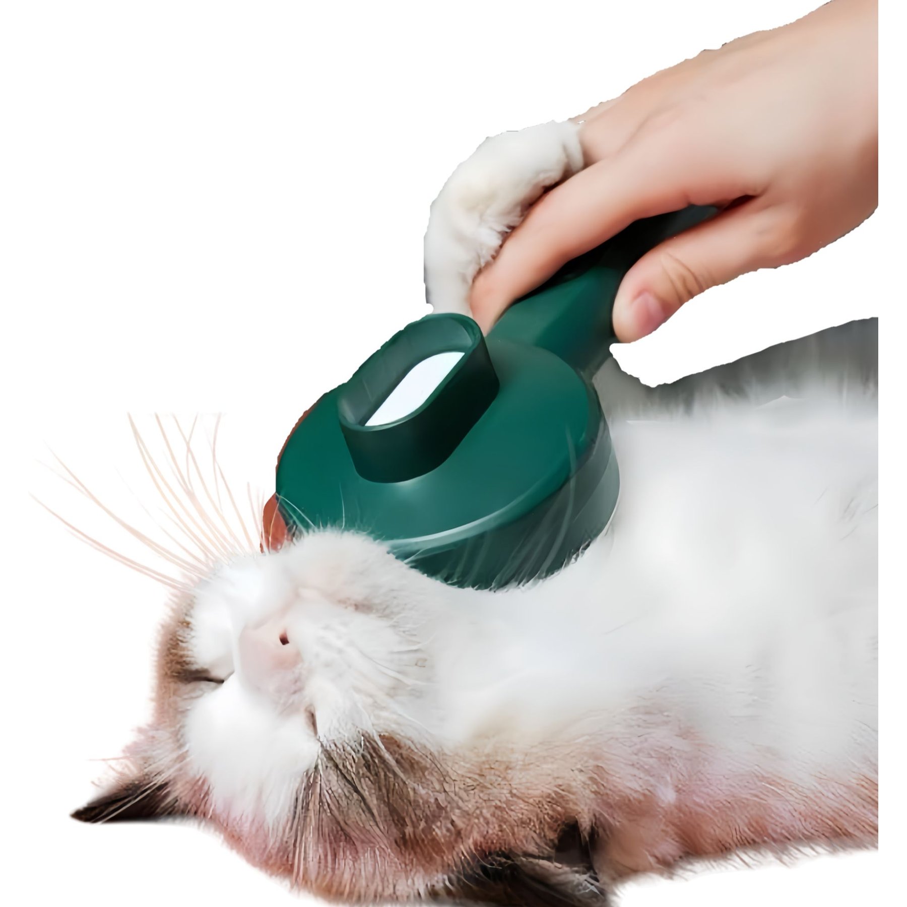 Fido Fave Self-Cleaning UV Sterilization Cat Slicker Brush, Green, Medium