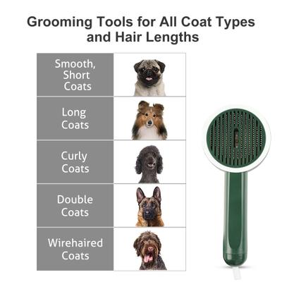Show full view: Fido Fave Self-Cleaning UV Sterilization Cat Slicker Brush, Green, Medium slide 9 of 11