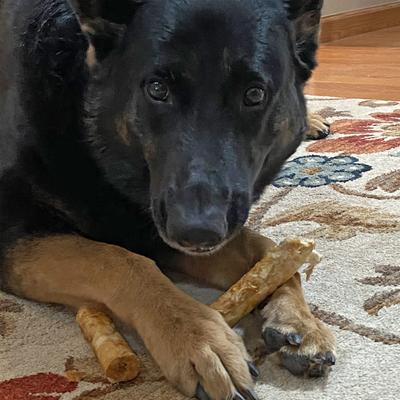 Show full view: Fieldcrest Farms Nothin' To Hide Large Roll 10-inch Beef Flavor Dog Chew, 1 count slide 5 of 7