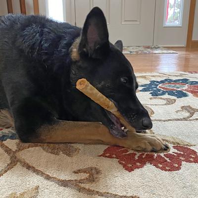 Show full view: Fieldcrest Farms Nothin' To Hide Large Roll 10-inch Beef Flavor Dog Chews, 2 count slide 6 of 8