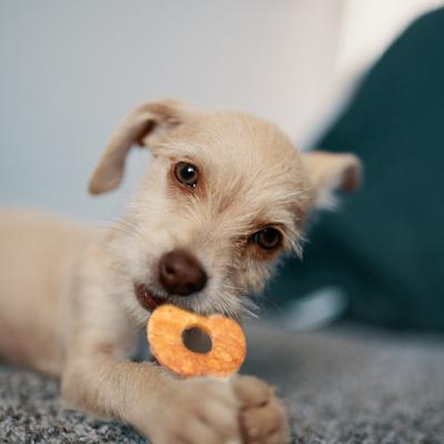 Show full view: Fieldcrest Farms Nothin' To Hide Ring & Bone Beef Flavor Natural Chew Dog Chews, 12 count slide 6 of 8