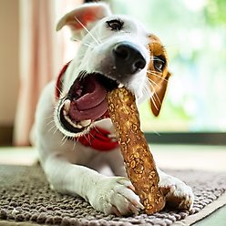 Fieldcrest Farms Nothin' To Hide Small Roll 5-inch Granola Flavor Dog Chews, 2 count slide 2 of 5