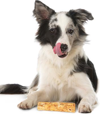 Show full view: Fieldcrest Farms Nothin' To Hide Small Roll 5-inch Peanut Butter Flavor Dog Chews, 2 count slide 6 of 7