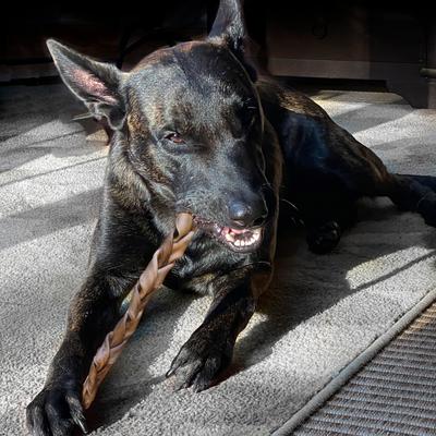 Show full view: Fieldcrest Farms Premium Dog Chews Bully Crunchers 12-inch Braided Bully Flavor Dog Chews, 2 count slide 6 of 8