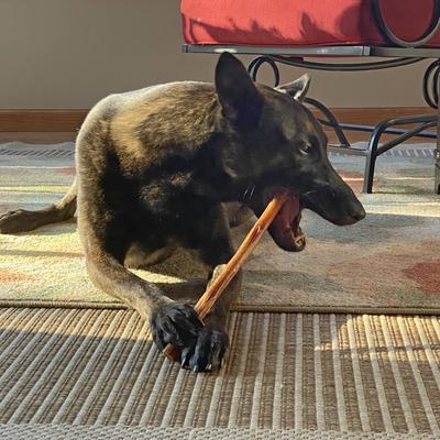 Show full view: Fieldcrest Farms Premium Dog Chews Bully Crunchers 12-inch Bully Flavor Dog Chews, 2 count slide 6 of 7