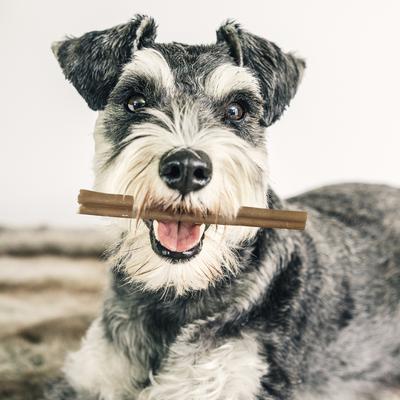 Show full view: Fieldcrest Farms Premium Dog Chews Bully Crunchers 6-inch Bully Flavor Dog Chews, 6 count slide 6 of 7