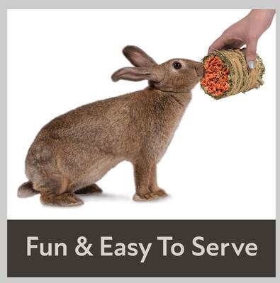 Show full view: Kaytee Mini Hay Bale Carrot Small Pet Hay, 3.5-oz bag slide 4 of 12