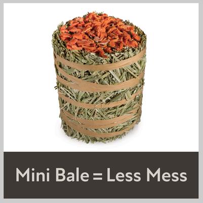 Show full view: Kaytee Mini Hay Bale Carrot Small Pet Hay, 3.5-oz bag slide 5 of 12