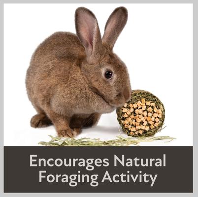 Show full view: Kaytee Mini Hay Bale Carrot Small Pet Hay, 3.5-oz bag slide 8 of 12