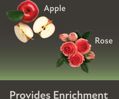 Show full view: Kaytee Mini Hay Bales Apple & Rose Small Pet Hay, 7-oz bag, 2 count slide 5 of 11