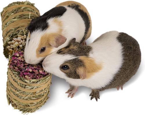 Show full view: Kaytee Mini Hay Bales Apple & Rose Small Pet Hay, 7-oz bag, 2 count slide 8 of 11