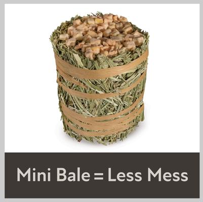 Show full view: Kaytee Mini Hay Bales Apple Small Pet Hay, 3.5-oz bag slide 5 of 10