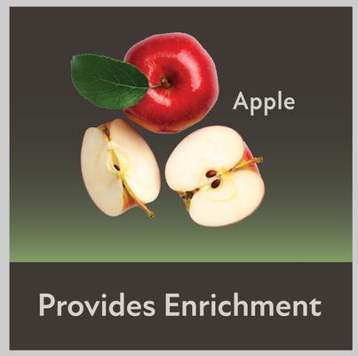 Show full view: Kaytee Mini Hay Bales Apple Small Pet Hay, 3.5-oz bag slide 7 of 10