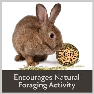 Show full view: Kaytee Mini Hay Bales Apple Small Pet Hay, 3.5-oz bag slide 8 of 10