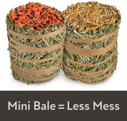 Show full view: Kaytee Mini Hay Bales Carrot Marigold Small Pet Hay, 7-oz bag, 2 count slide 5 of 12