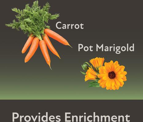 Show full view: Kaytee Mini Hay Bales Carrot Marigold Small Pet Hay, 7-oz bag, 2 count slide 7 of 12