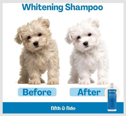 Show full view: Fifth & Fido Blueberry Dog Shampoo, 16-fl oz bottle slide 2 of 7