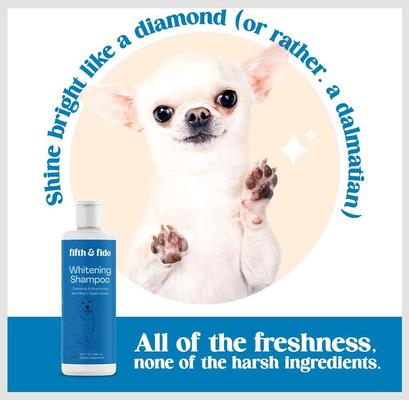 Show full view: Fifth & Fido Blueberry Dog Shampoo, 16-fl oz bottle slide 4 of 7