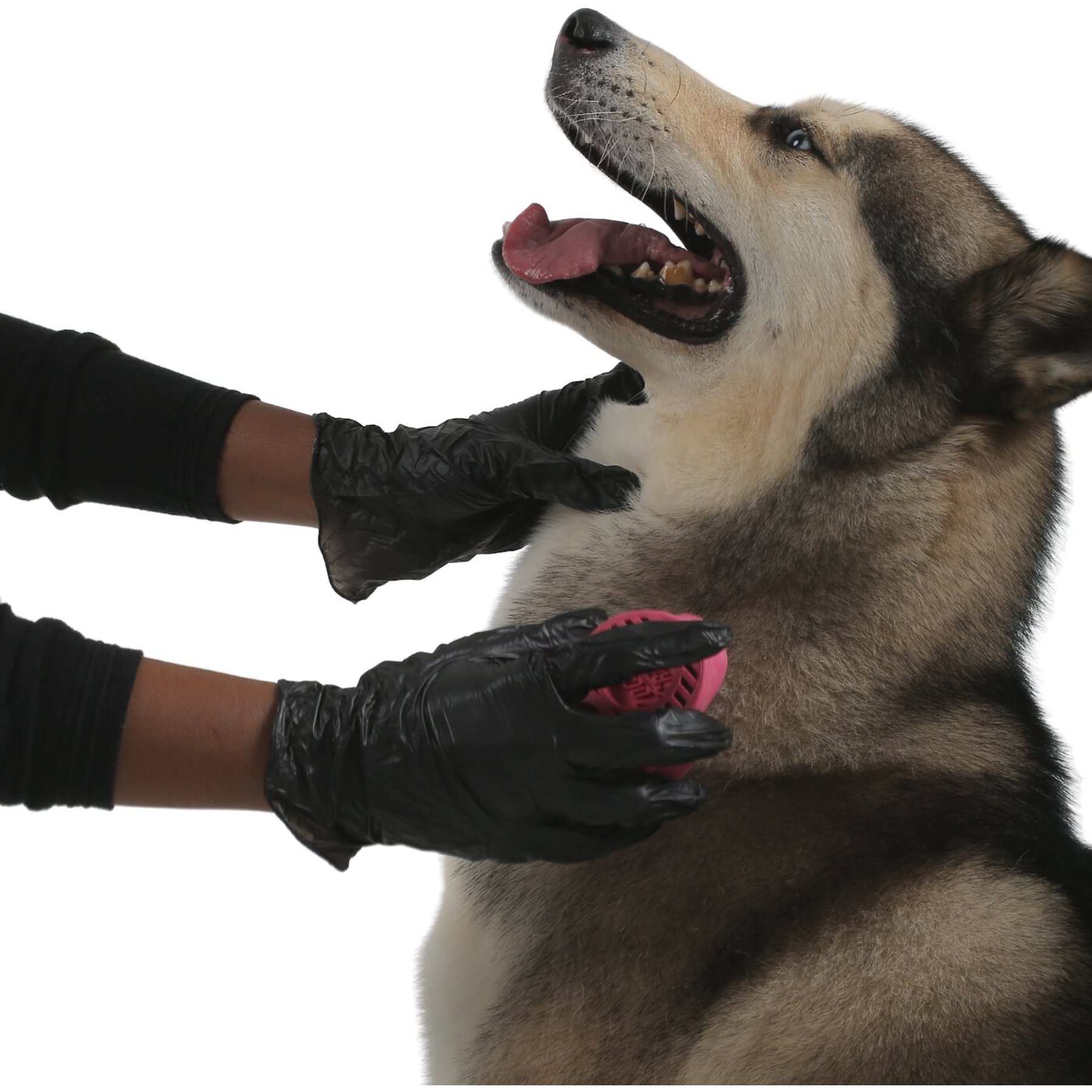 FifthPulse Vinyl Exam Gloves, Black, Large, 200 count