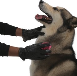 FifthPulse Vinyl Exam Gloves, Black, Small, 200 count slide 1 of 9