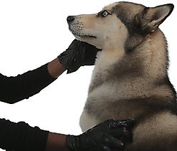 FifthPulse Vinyl Exam Gloves, Black, Small, 200 count slide 2 of 9