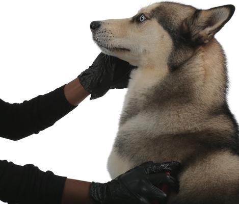 Show full view: FifthPulse Vinyl Exam Gloves, Black, Small, 200 count slide 3 of 10