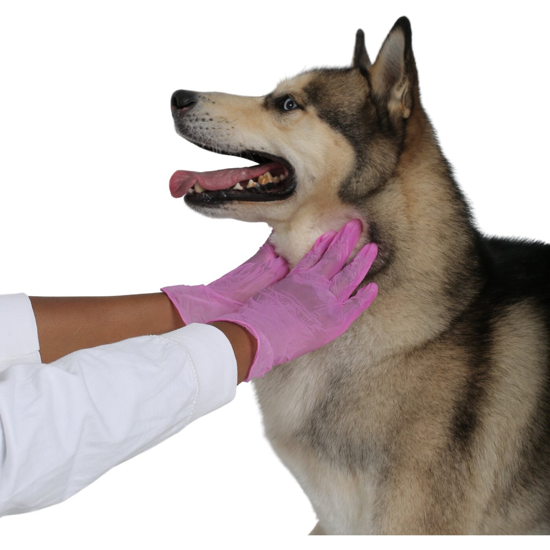 FifthPulse Vinyl Exam Gloves, Pink, Large, 200 count
