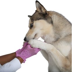 FifthPulse Vinyl Exam Gloves, Pink, Small, 200 count slide 2 of 9