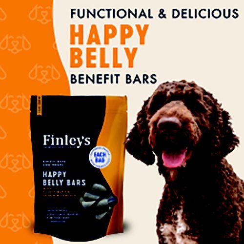 Finley's Happy Belly Soft Chew Benefit Bars Dog Treats, 16-oz bag