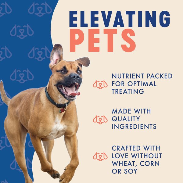 Finley's Barkery Salmon Recipe Soft Chew Training Bites Dog Treats
