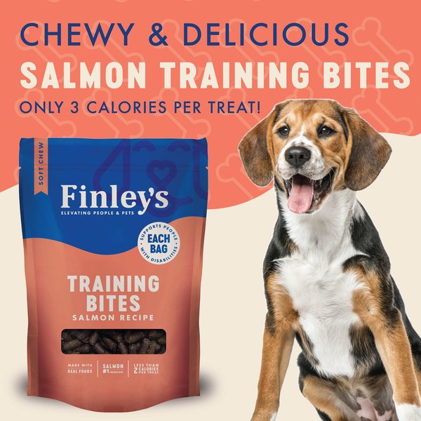 Finley's Barkery Salmon Recipe Soft Chew Training Bites Dog Treats