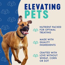 Finley's Wheat-Free Blueberry & Coconut Crunchy Biscuit Dog Treats, 12-oz bag slide 2 of 8