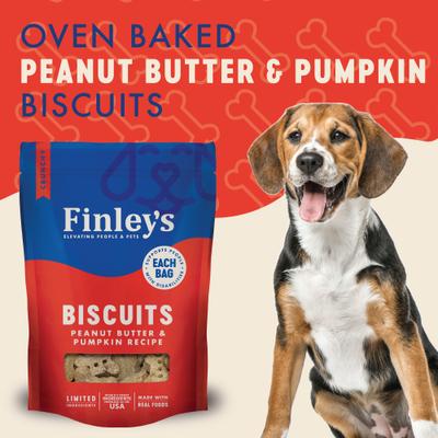 Show full view: Finley's Wheat-Free Peanut Butter & Pumpkin Crunchy Biscuit Dog Treats, 12-oz bag slide 4 of 10