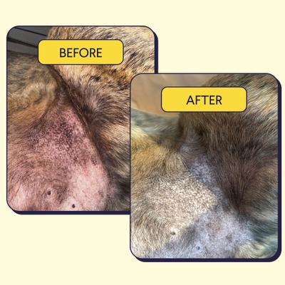 Show full view: Finn Allergy & Itch Beef Liver Flavored Soft Chew Allergy Supplement for Dogs, 90 count slide 7 of 11