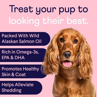 Show full view: Finn Digestive Prebiotic & Probiotic, 90 count + Skin & Coat Wild Alaskan Salmon Oil Dog Supplement, 90 count slide 9 of 9