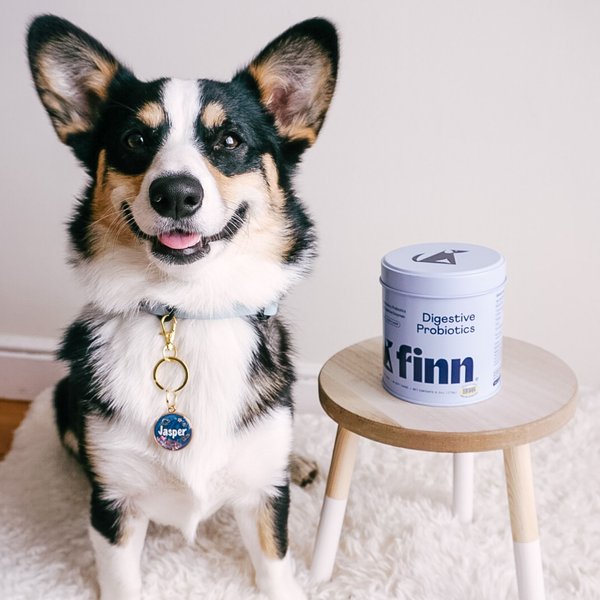 Show full view: Finn Digestive Prebiotic & Probiotic Supplement for Dogs, 90 count slide 8 of 10