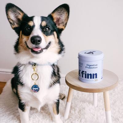 Show full view: Finn Digestive Prebiotic & Probiotic Supplement for Dogs, 90 count slide 9 of 11